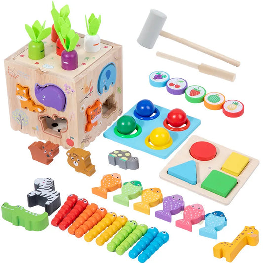 Wooden Montessori Set MLA MS03